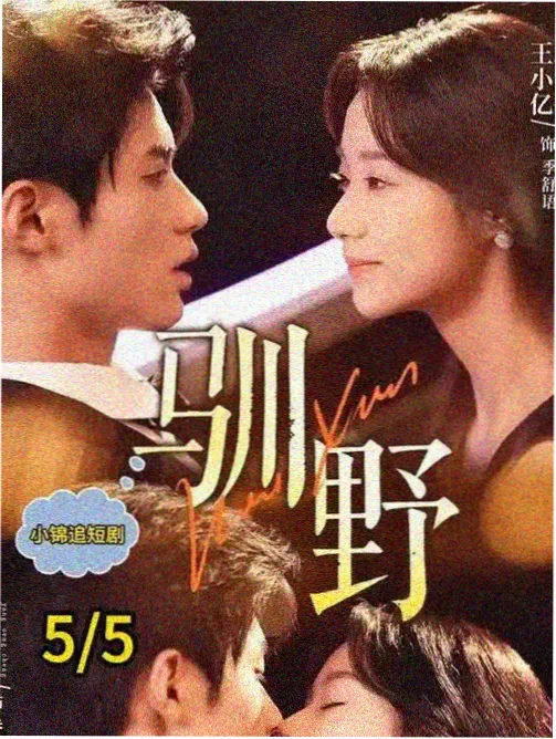夜行电车日记 日韩高清大片日剧海报